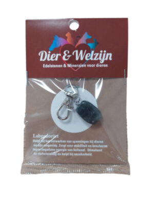Dier & Welzijn halsband hanger Labradoriet