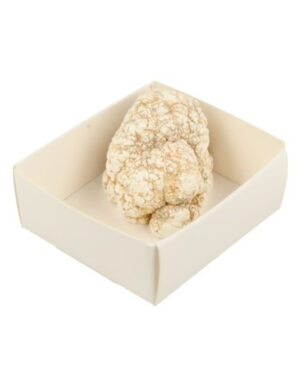 Box Magnesite
