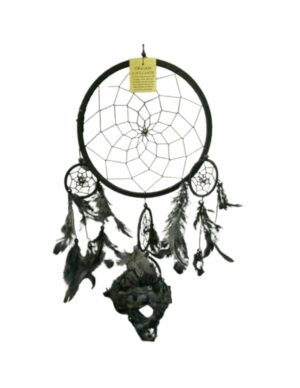 Dromenvanger veren 42cm Zwart
