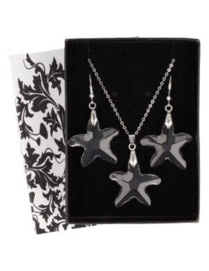Feng shui ster hanger / oorbellen set