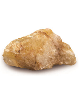 Golden healer ruw, p/kg