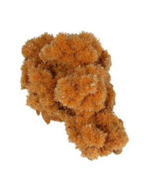 Selenite orange crystallized rough, p/kg