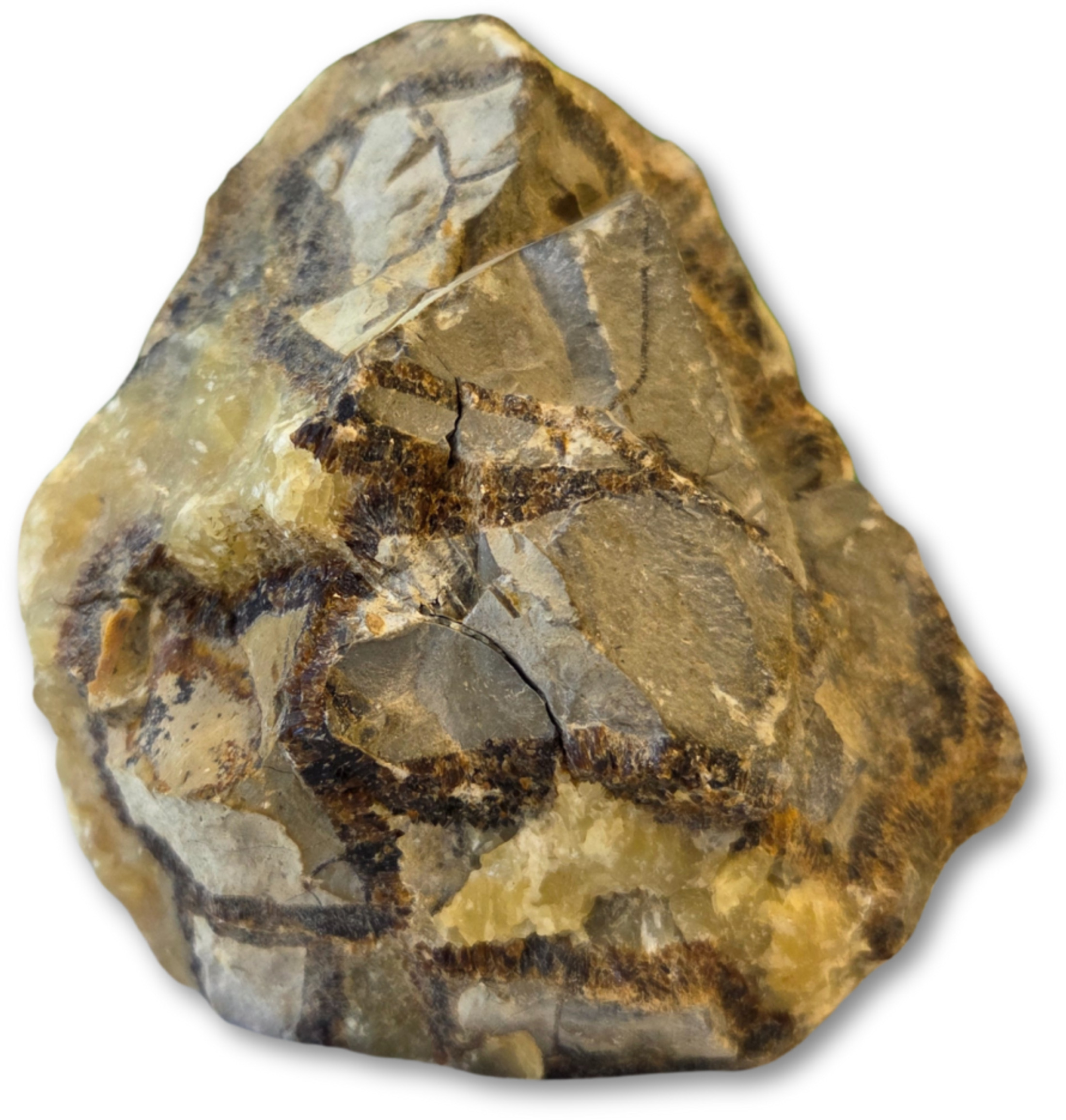 Septarie ruw cut base nr.01