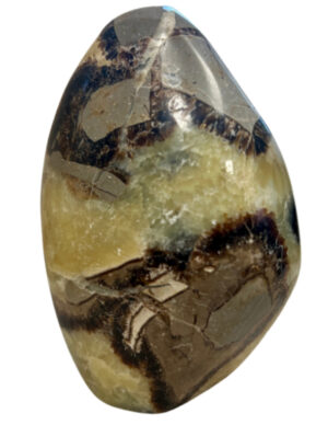 Septarie sculptuur nr.03