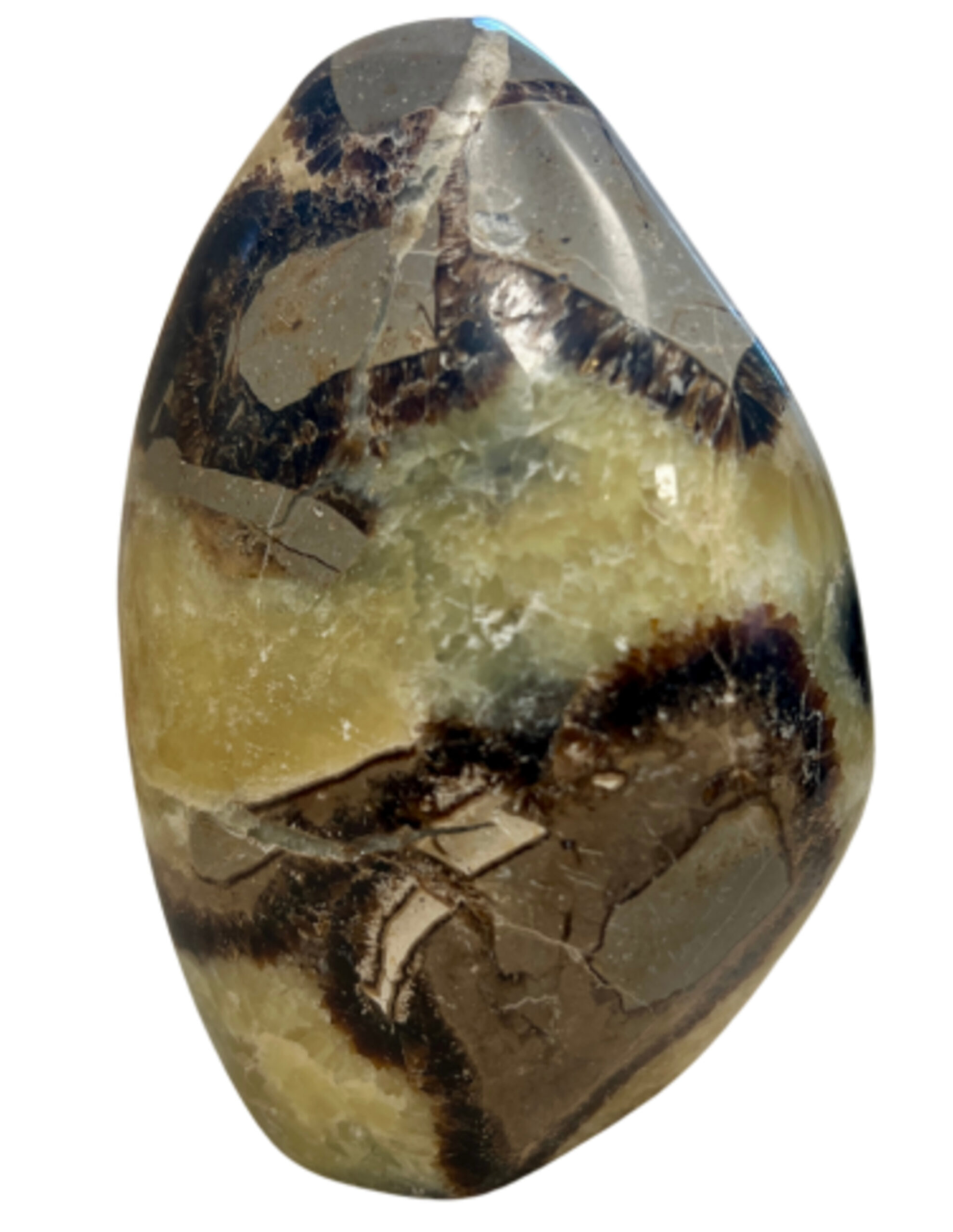 Septarie sculptuur nr.03