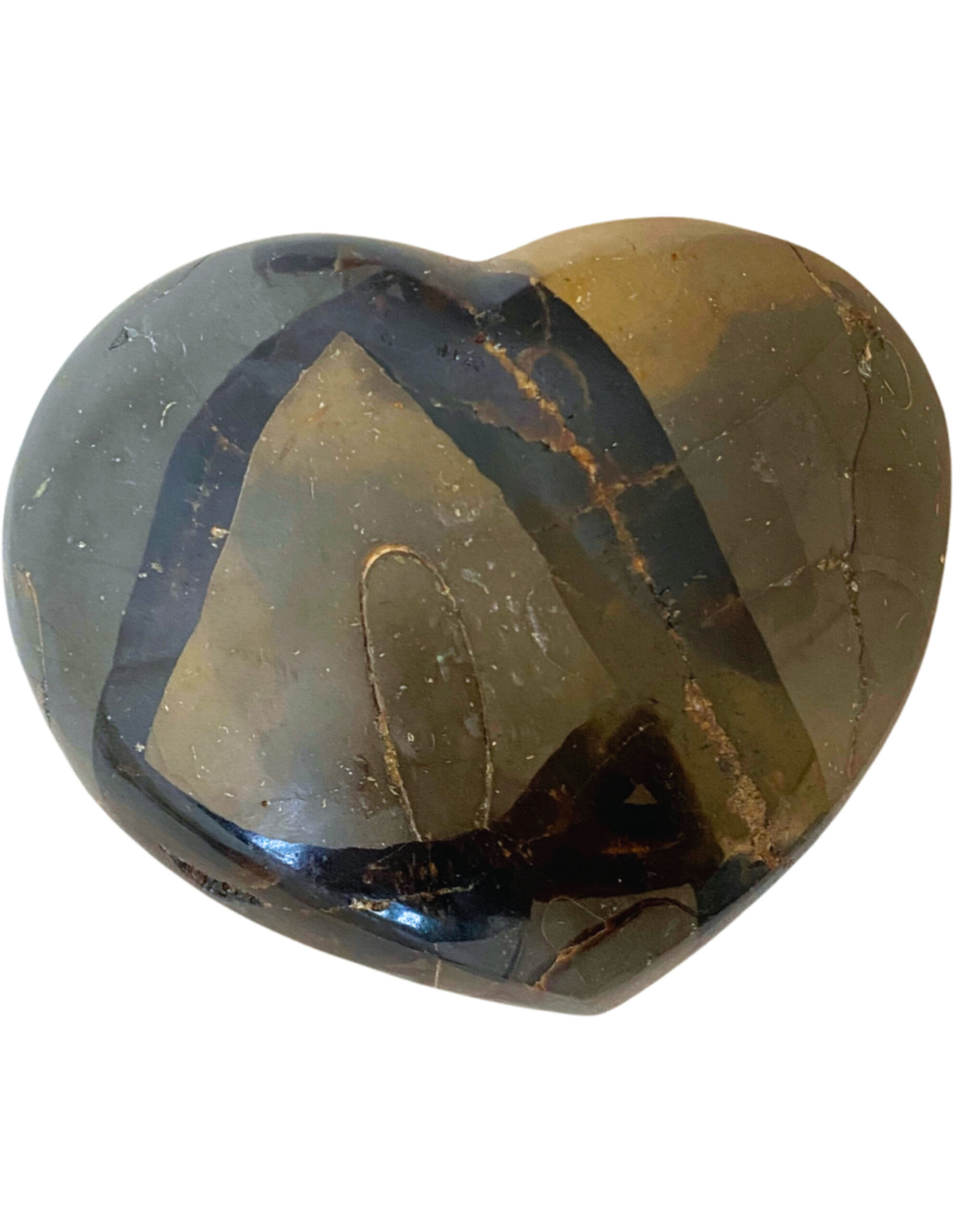 Septarie wild hart nr.02