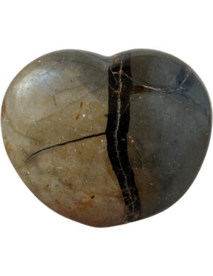 Septarian dragon heart no.04
