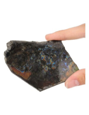 Spectroliet schijfje nr.7