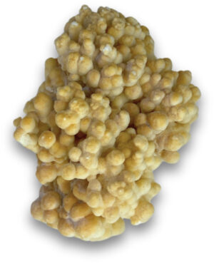 Stalactite with Aragonite crystallizations rough no.45