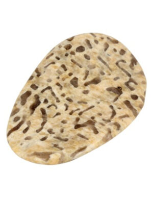 Zebradoriet edelsteen pringle